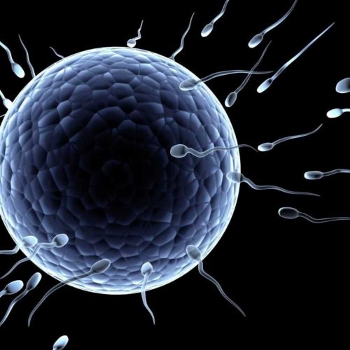 Low sperm count (शुक्राणुओं की कमी) -Yovan Clinic Low sperm count (शुक्राणुओं की कमी)